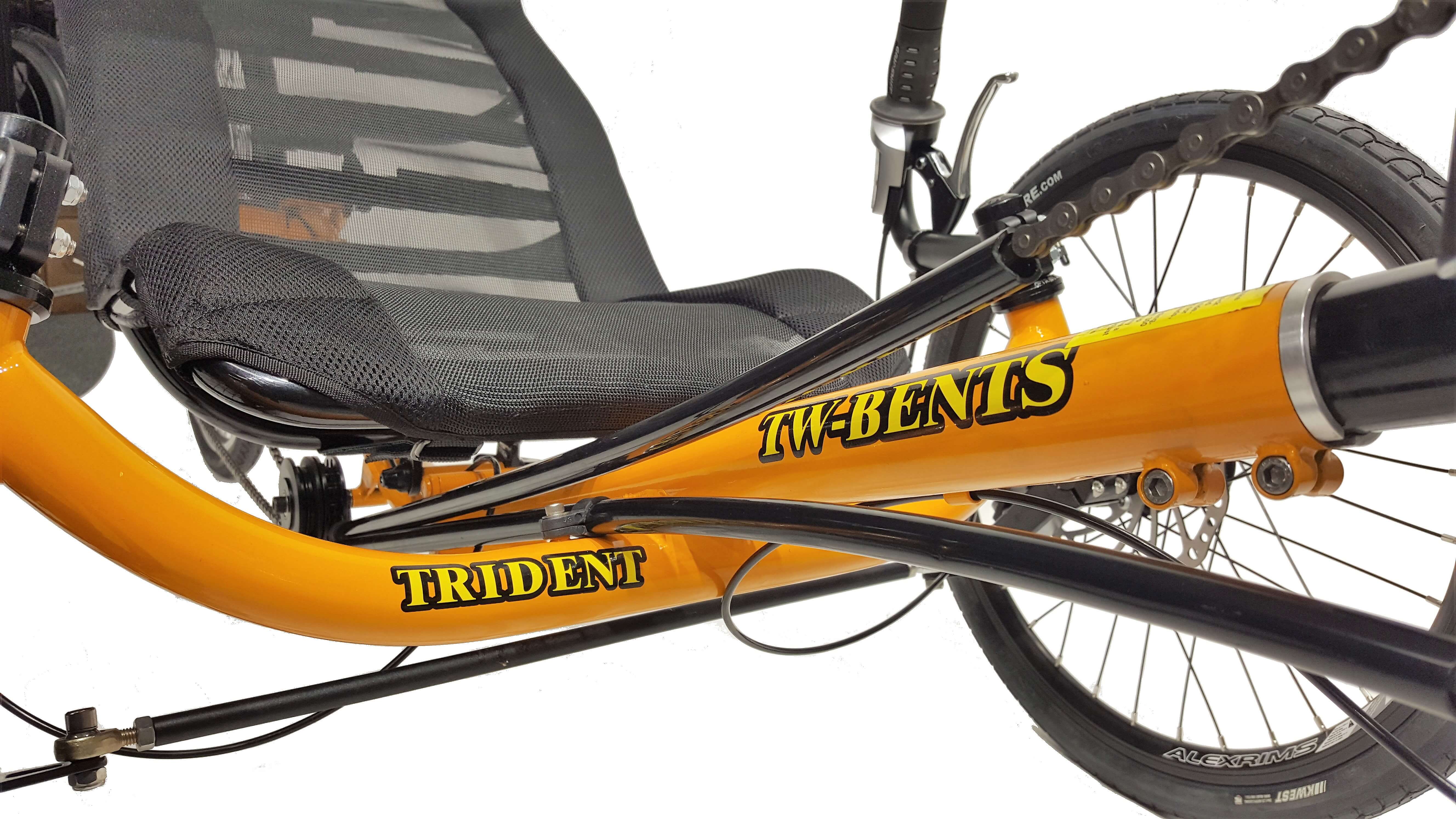 trident recumbent bike