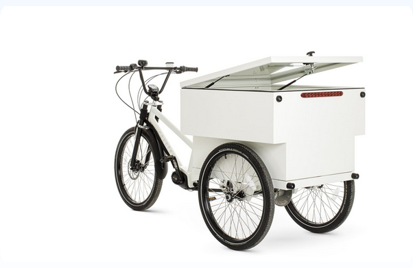 Venture Industrial Electric Cargo Trike