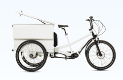 Venture Industrial Electric Cargo Trike