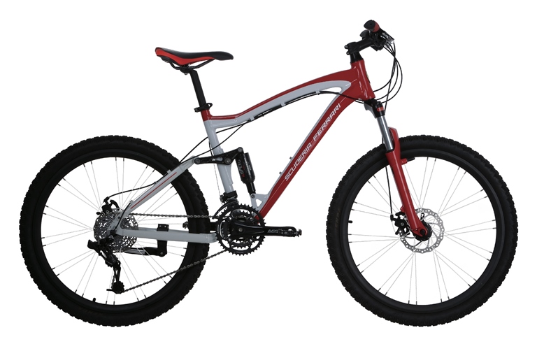 Dual shock mountain bike for online sale